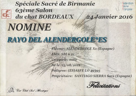 Especial Sagrado de Birmania, Burdeos (Francia)